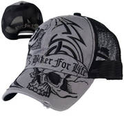 Кепка Skull Distressed Ball Cap