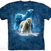Футболка с медведем Polar Collage