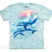 Футболка с дельфином Dolphin Sunset