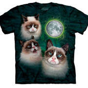 Fun-art футболка Three Grumpy Cat Moon