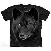  Black Wolf