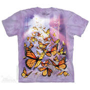  Monarch Butterflies
