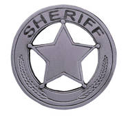  Badge Pin